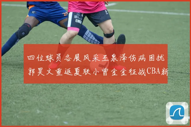 四位球员各展风采王泉泽伤病困扰郭昊文重返夏联小曾金金征战CBA新赛季