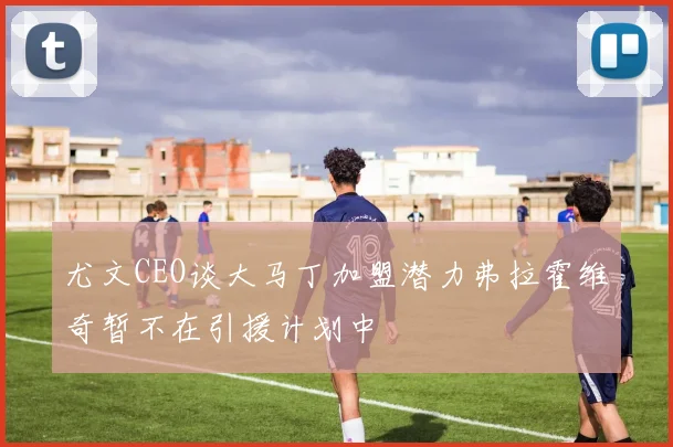 尤文CEO谈大马丁加盟潜力弗拉霍维奇暂不在引援计划中